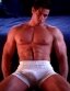 Semi Hard In Grey Boxer
