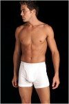 Basic Boxer Brief