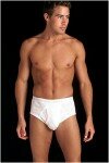Basic Brief