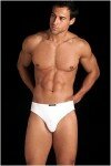 News Hip Brief