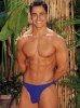 silk brief