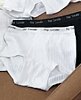 plus size brief